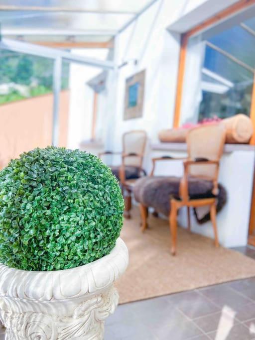 Tipica Casa Andorrana En Encamp L By Bonesvacances Exteriér fotografie